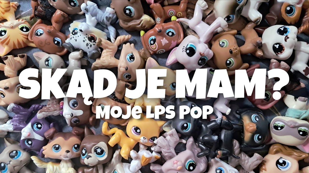 SKĄD MAM MOJE LPS POP? | Moja kolekcja LPS POP