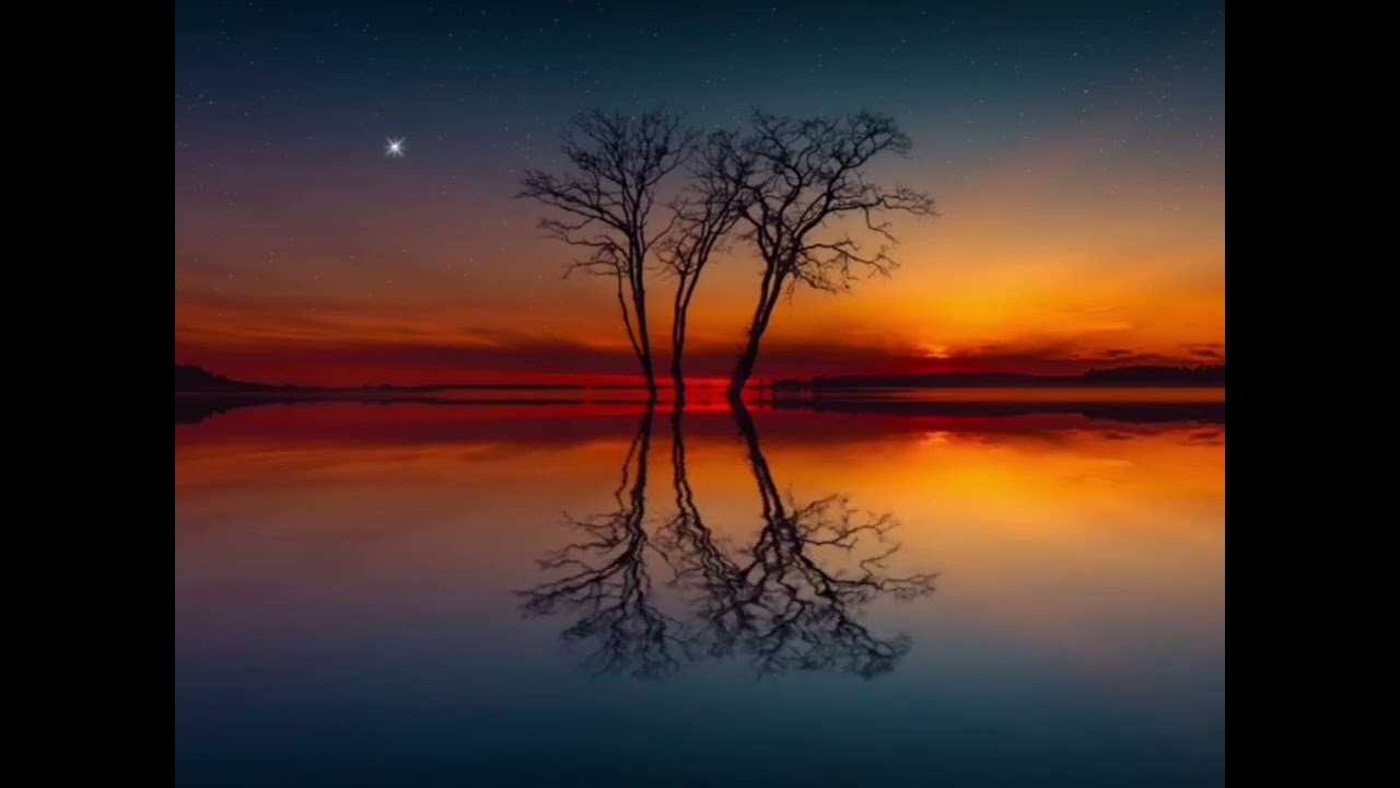 أَرَجُ دَارِيْــن فـي تَعَـامُـلِ الأَمِـيْــن مَع المُخْطِئيــن (28)