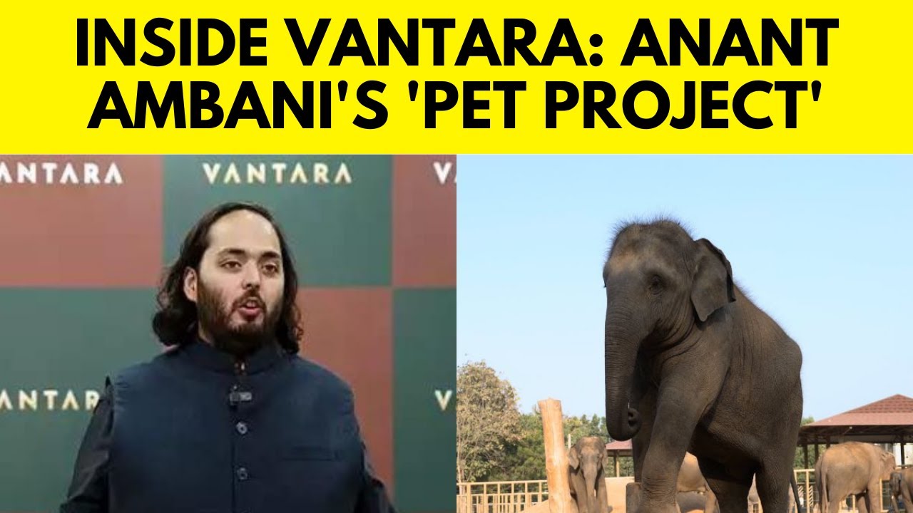 Anant Ambani's Vantara | Reliance Foundation's Anant Ambani's Animal Rescue & Care Facility
