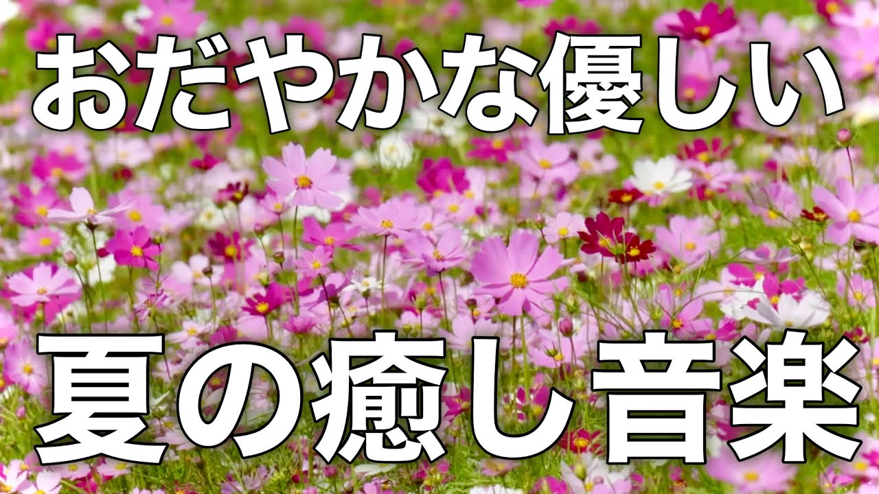 【癒しBGM】心が落ち着く優しいリラックス音楽、自律神経を整え不安やストレス解消のためのヒーリングミュージック/睡眠用・作業用・勉強用BGM