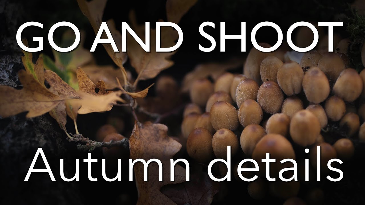 GO AND SHOOT: Autumn details photography tutorial