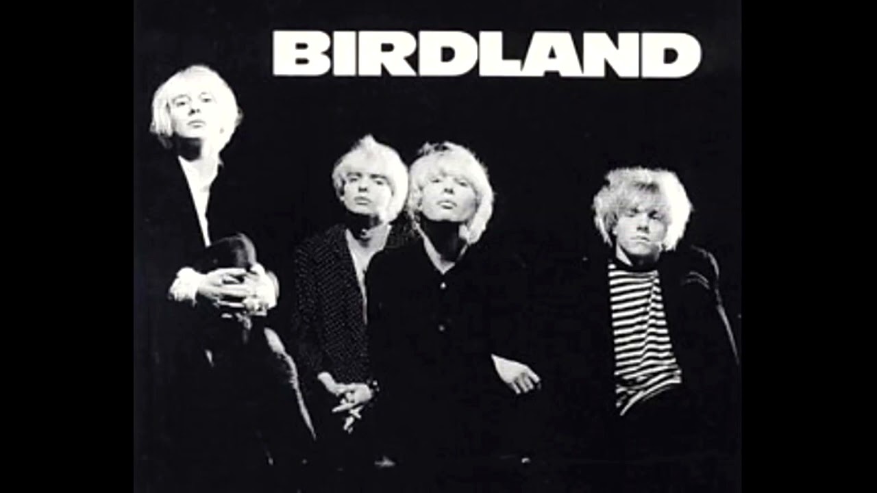 Birdland - Shoot You Down (1991)