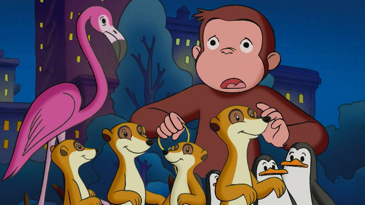 George Deixa Todos os Animais Escaparem! 🐵 George, o Curioso 🐵 Desenhos Animados