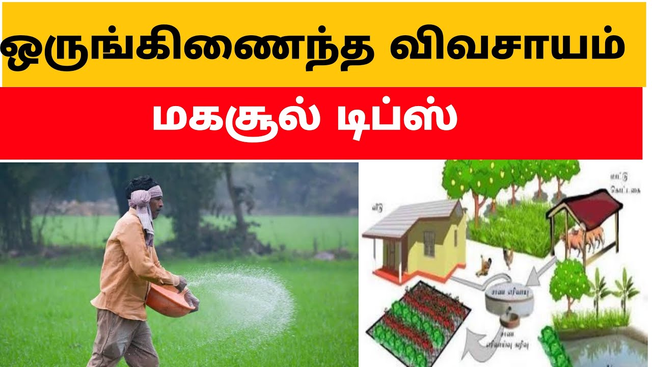50 செண்டில் இவ்ளோ லாபமா?|5 layer farming|vivasayam |5 adukku vivasayam|subash balekar|இயற்கைவிவசாயம்