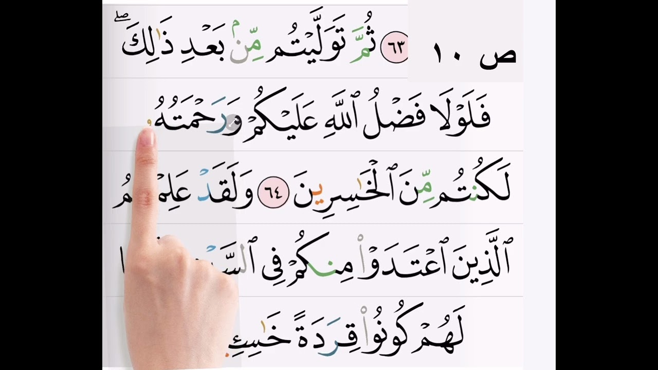 احكام الايتين ٦٤-٦٥ من سورة البقرة