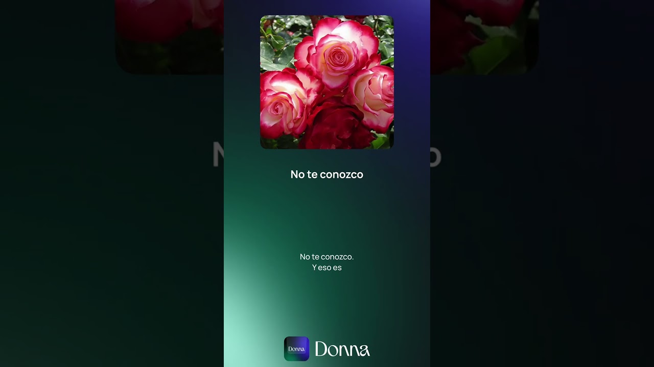 No Te Conozco | Conexión sin rostro