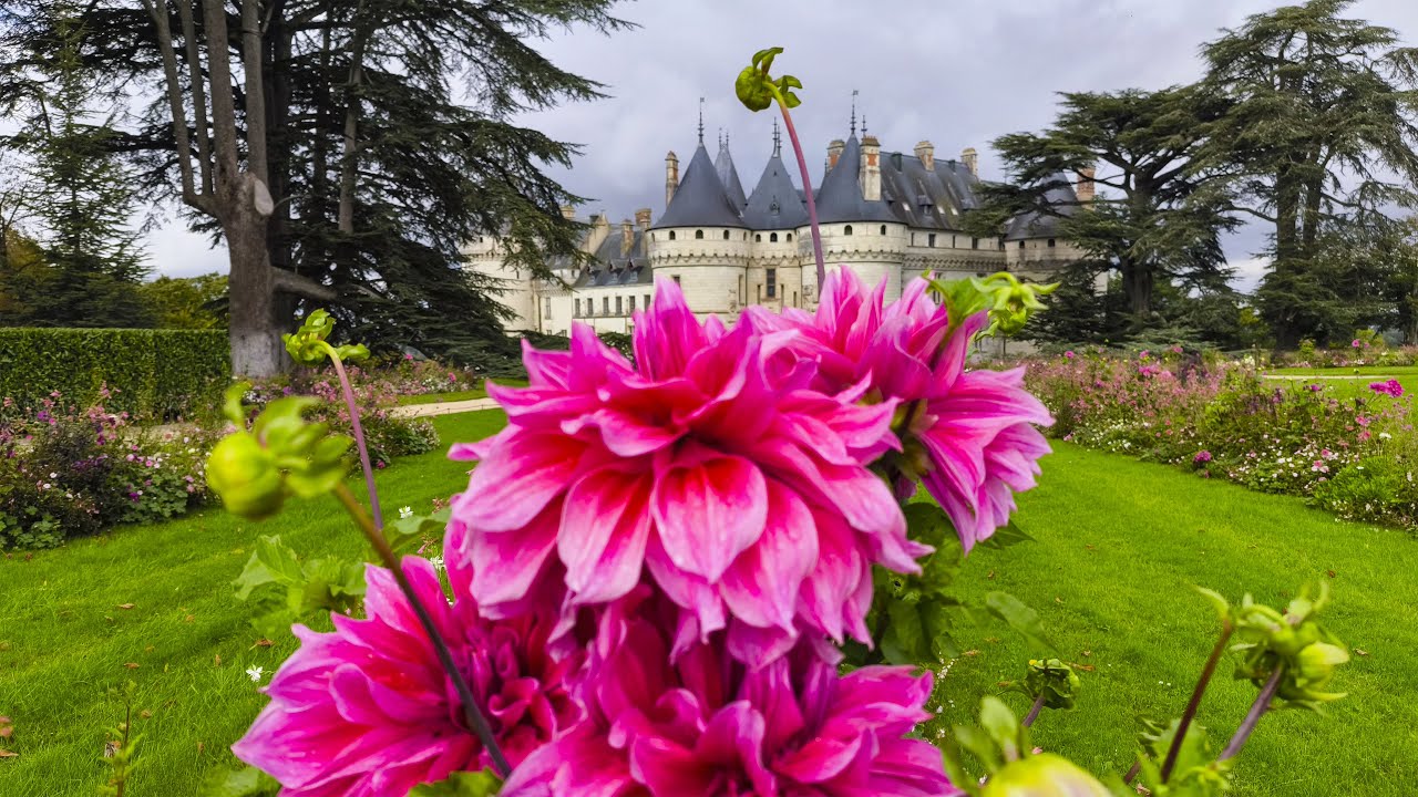 Zwischen Loire und Luxus: Ein vollst&auml;ndiger Reisef&uuml;hrer zum Ch&acirc;teau de Chaumont