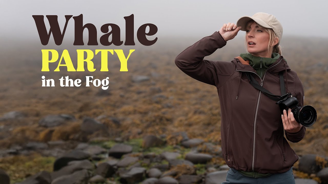 Whale Watching in Nova Scotia | Brier Island & Digby Travel