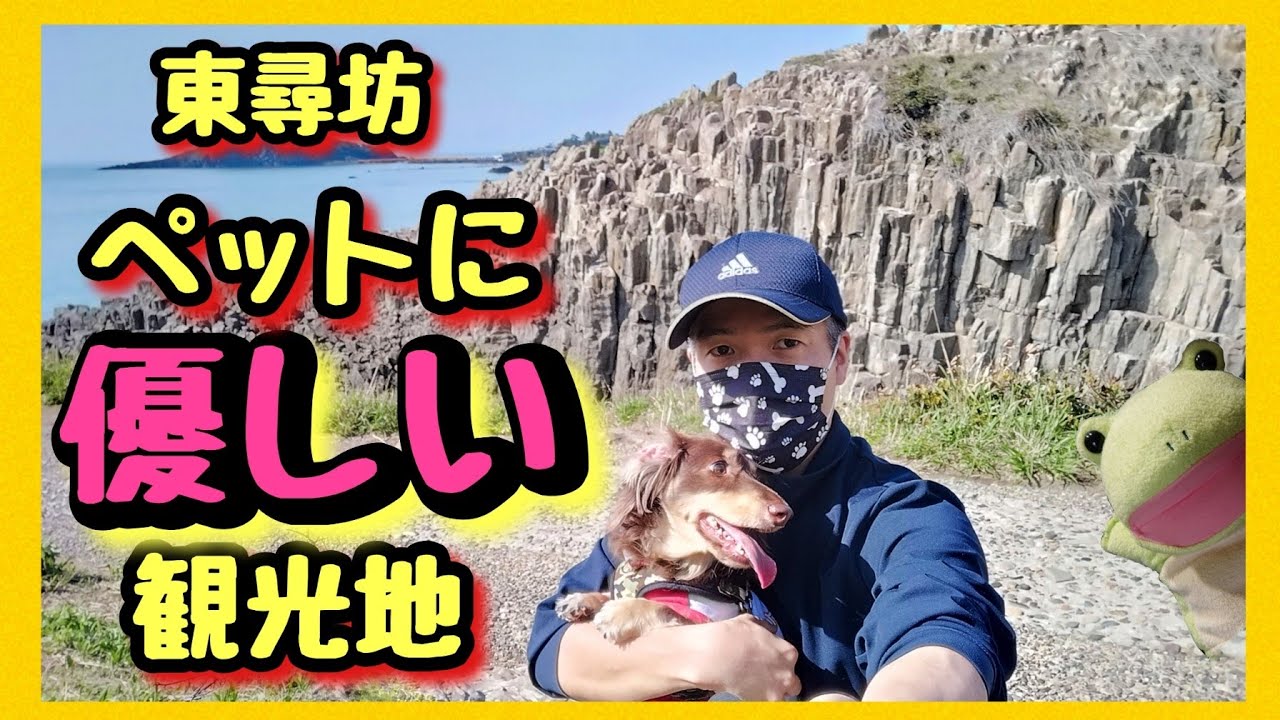 【 福井県 東尋坊 】愛犬と一緒にランチ＆カフェ。　愛犬と楽しくお出かけ。