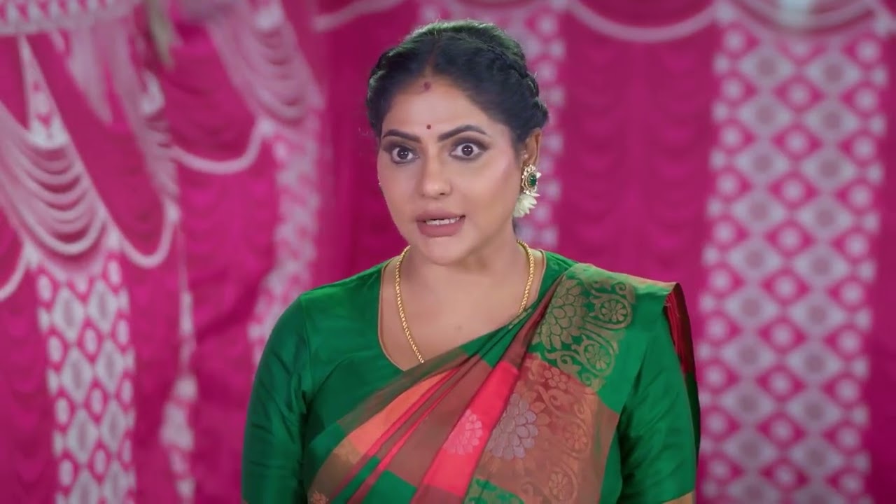Karthigai Deepam | Ep - 1140 | Webisode | Mar 06 2026 | Zee Tamil
