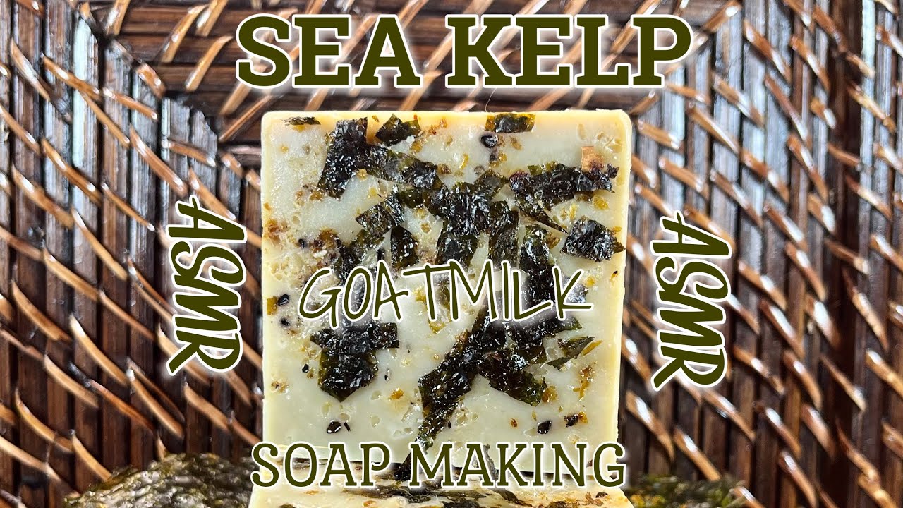 Making SEA KELP and GOAT MILK handmade soap