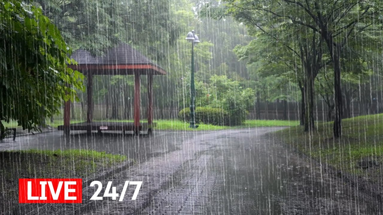 Relax and Sleep with Heavy Rain Sounds - Instantly Fall Asleep with Natural Sound, Focus, Study