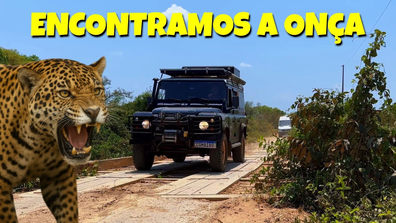 45 Dias pelo Mato Grosso 🐆 Onça-pintada, Pantanal e Águas Cristalinas| Vídeo Extra