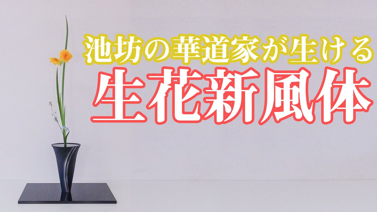 【生け花紹介】池坊の華道家が生花新風体を生ける【ひまわり/オクロレウカ/デルフィニウム】いけばな / ikebana / ikenobo / shoka / shinputai / 插花演示