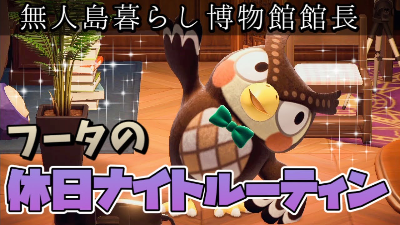 【あつ森】博物館館長フータのナイトルーティーン/ルーティーン/パニーの島【あつまれどうぶつの森】【Night routine】