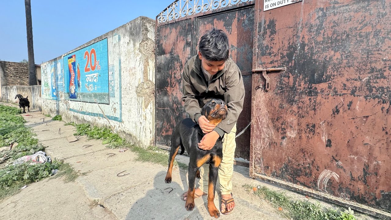 Gaurav Ko RottWeiler Ne Kaat Liya 😱