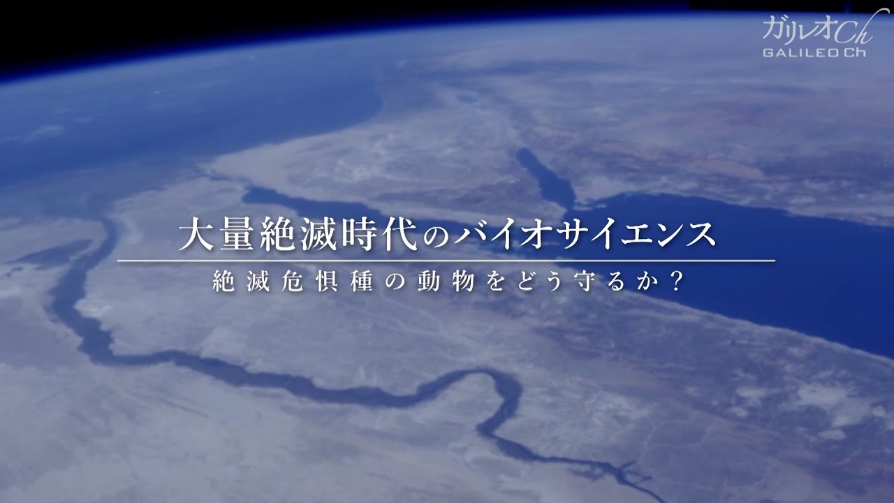 大量絶滅のバイオサイエンス 絶滅危惧種の動物をどう守るのか？ ｜ ガリレオX 第232回