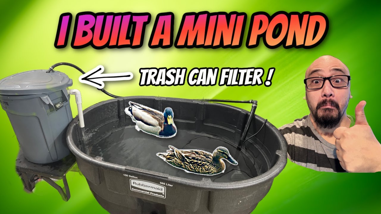 150 Gallon DIY Mini Pond with the Best Aquarium Filter made from a Trash Can!