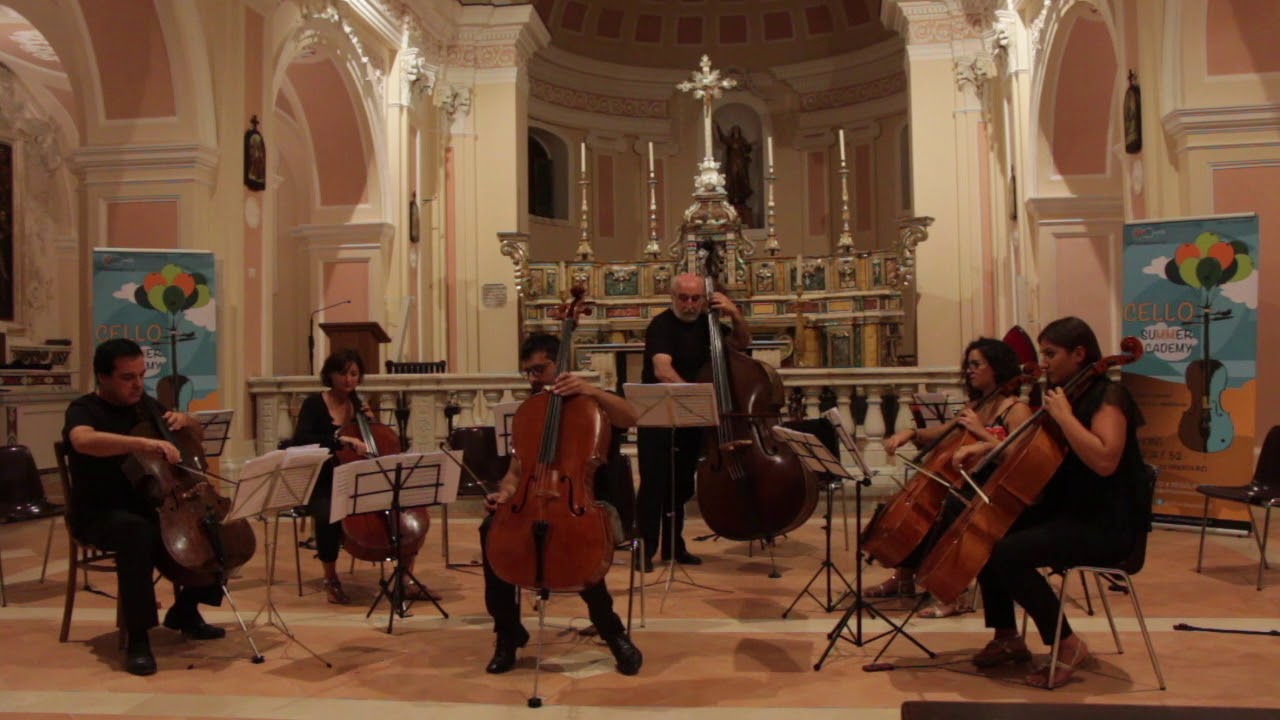 Francesco Parente J. Haydn Cello Concert in D Major (First movement)