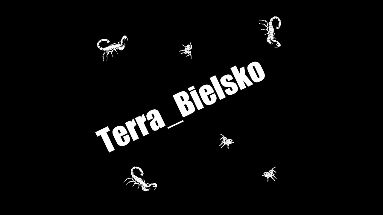 #02 Terra_Bielsko - Początki z terrarystyką