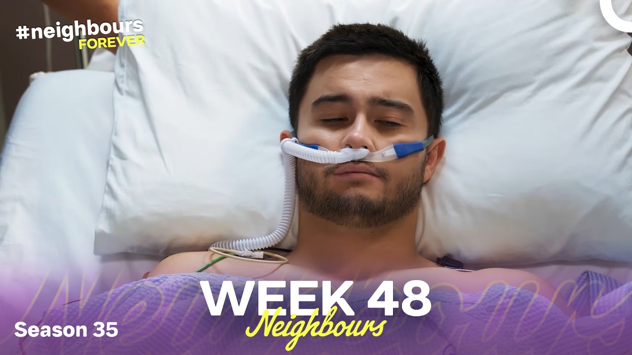 WEEK 48 | Episodes 8241-8245 | Neighbours 2019 (Season 35)