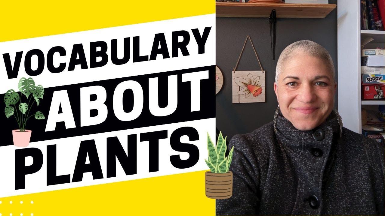 8+ IELTS Vocabulary About Plants