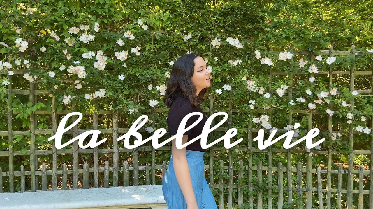 La belle vie - Sacha Distel (cover)