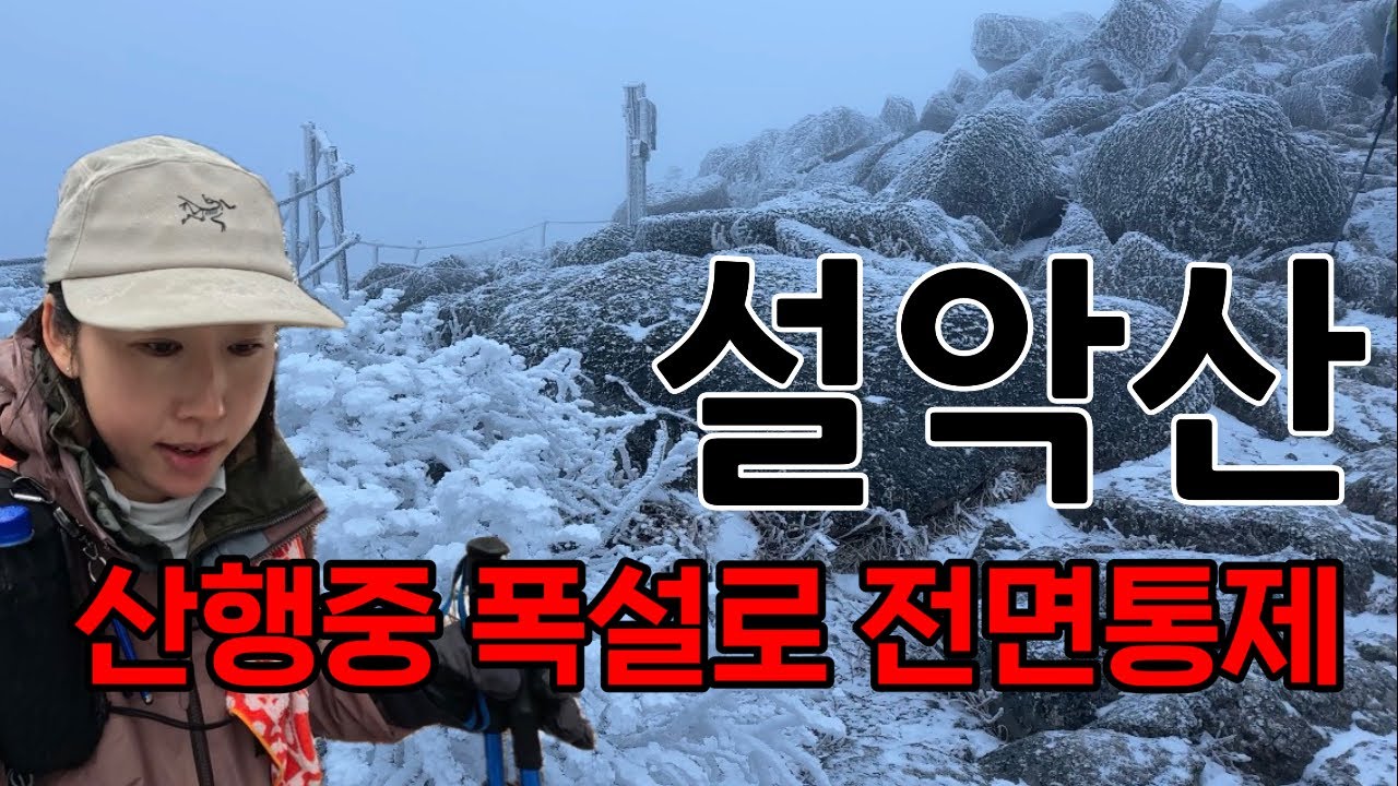 산행중 대설주의보로 설악산 결국 전면통제😭 대설주의보 속에서 만난 역대급 상고대 
