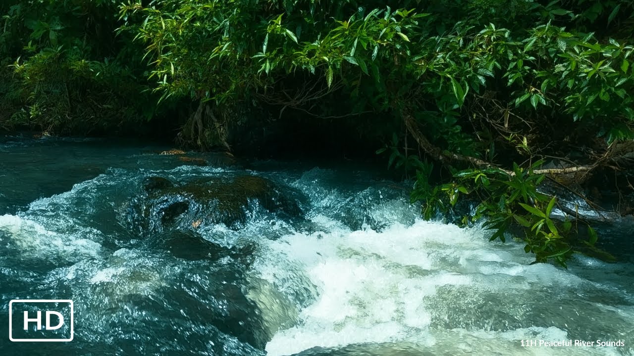 Peaceful Flow – Night River Ambience