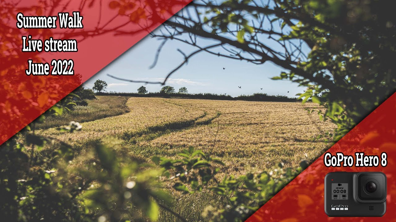 GoPro UK countryside, Lovely Evening Nature Walk Live stream June 2022