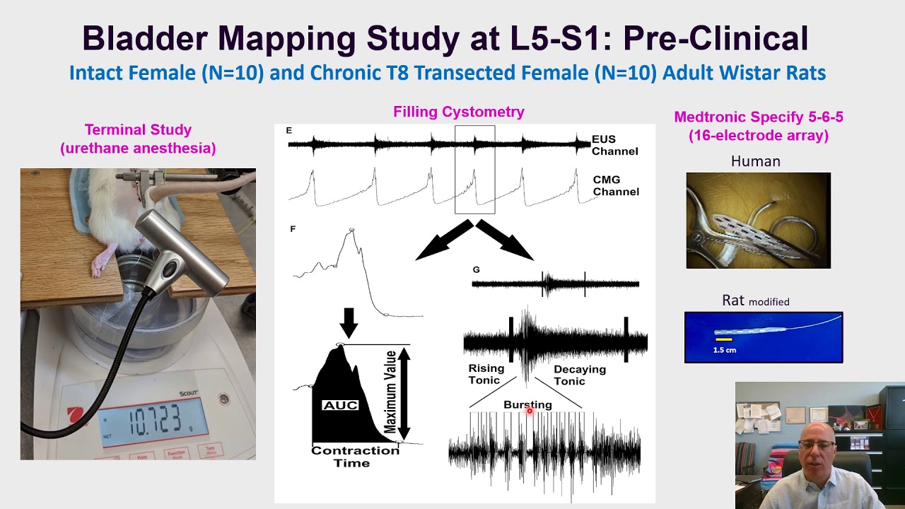 #209 Impact of lumbosacral epidural stimulation on lower urinary tract function in anesthetized ...