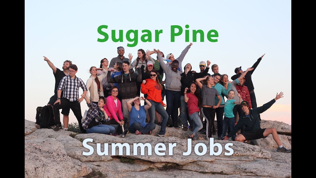Summer Jobs at Sugar Pine 2019
