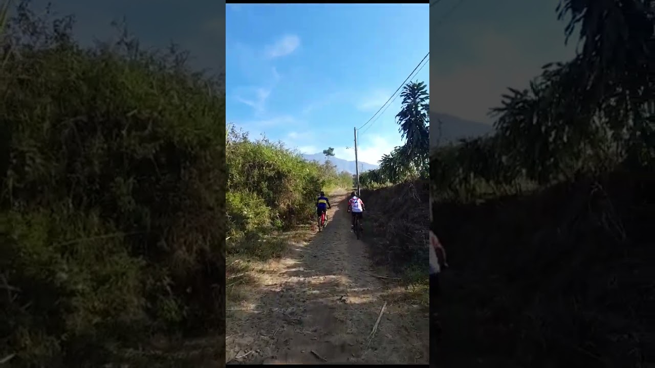 Pacific Stinger 9