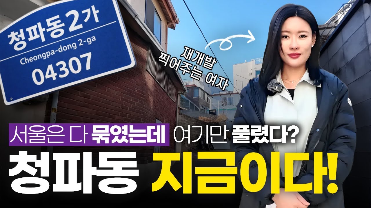 토지거래허가 다 막혔는데… 여긴 아직 자유입니다 🔥