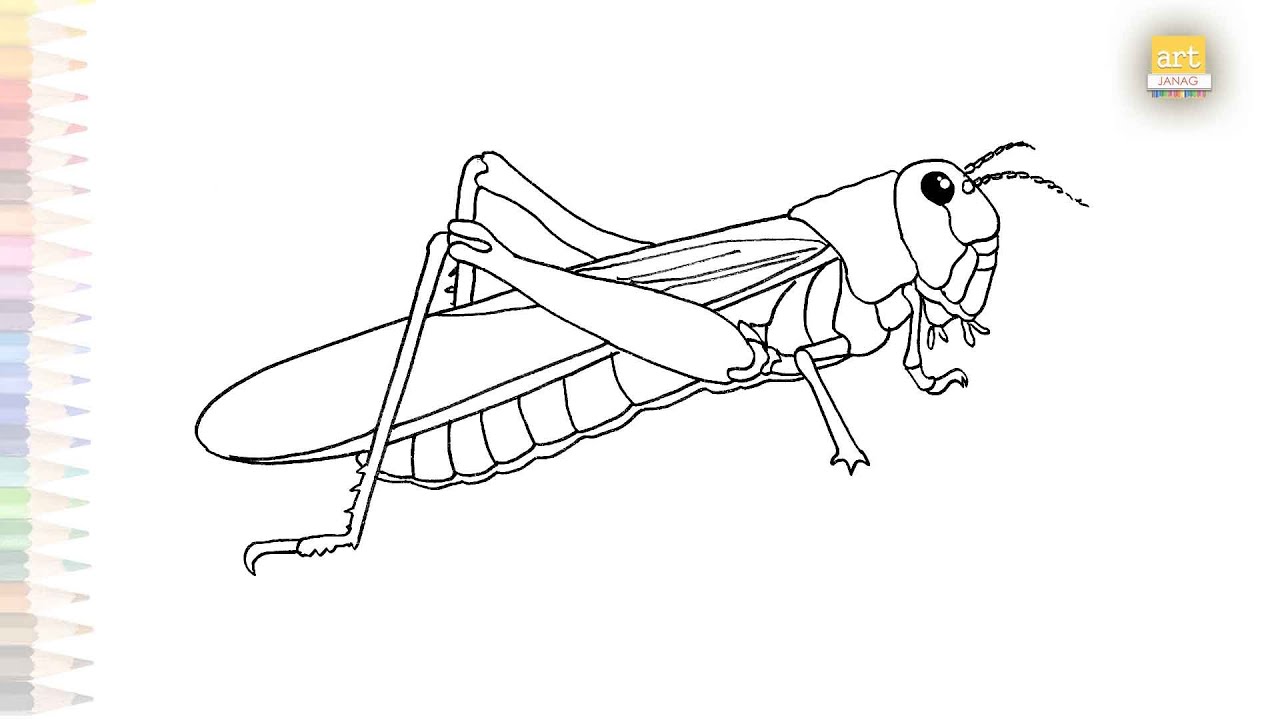 Locust drawing easy | Insect drawing tutorial | How to draw A Locust step by step | #artjanag