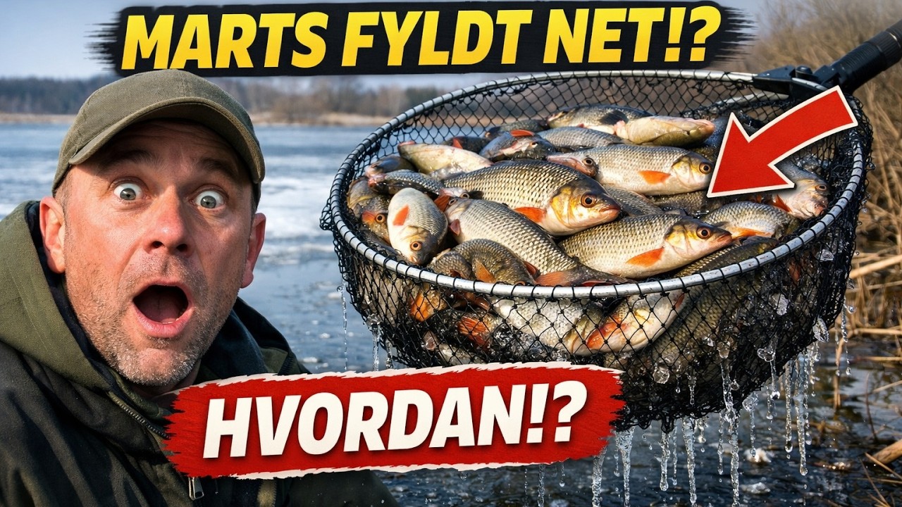 Bider de ikke i marts? Det er ren løgn! Her får du hemmeligheden bag et proppet fangstnet, som 90 %