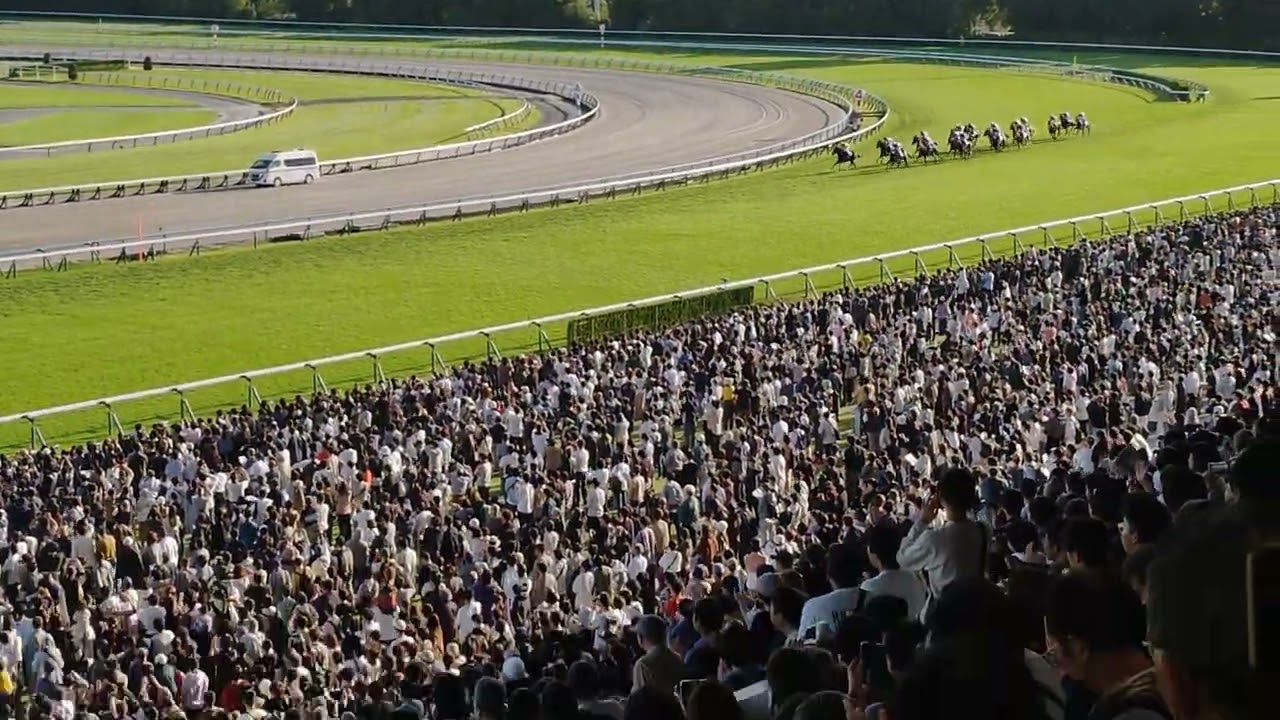 2024/10/20 京都競馬11R菊花賞現地観戦