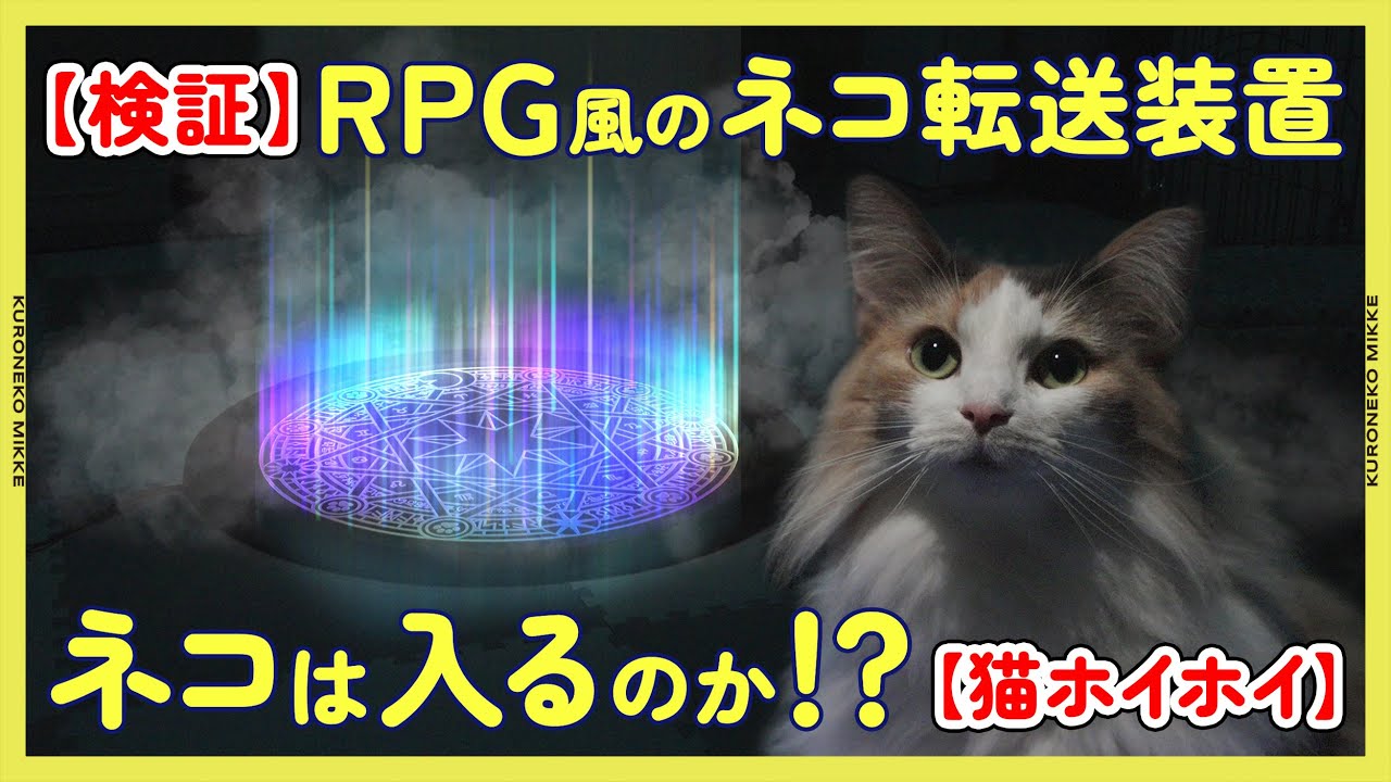【検証】RPGゲームに出てくるみたいな光輝くネコ転送装置を作ったら猫は中に入るの!?【猫ホイホイ