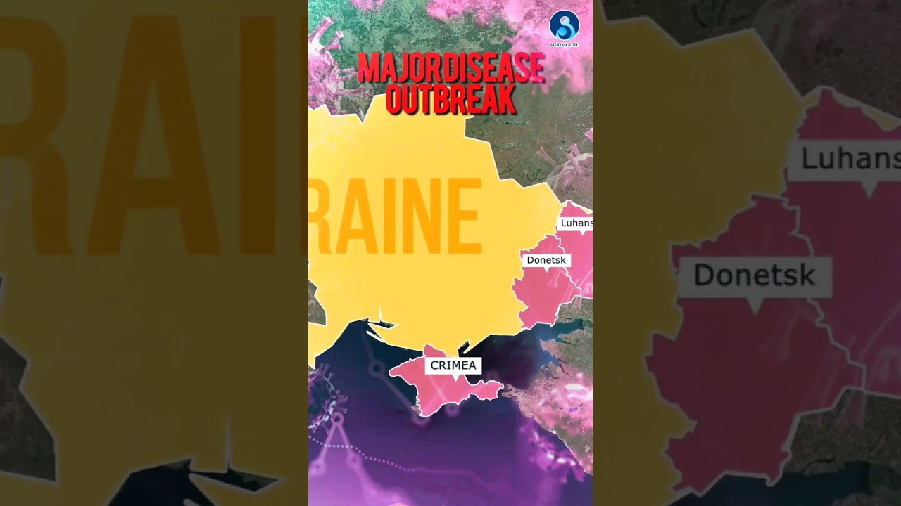 The environmental concern of Russia-Ukraine war! 🤯 #upsc #geopolitics