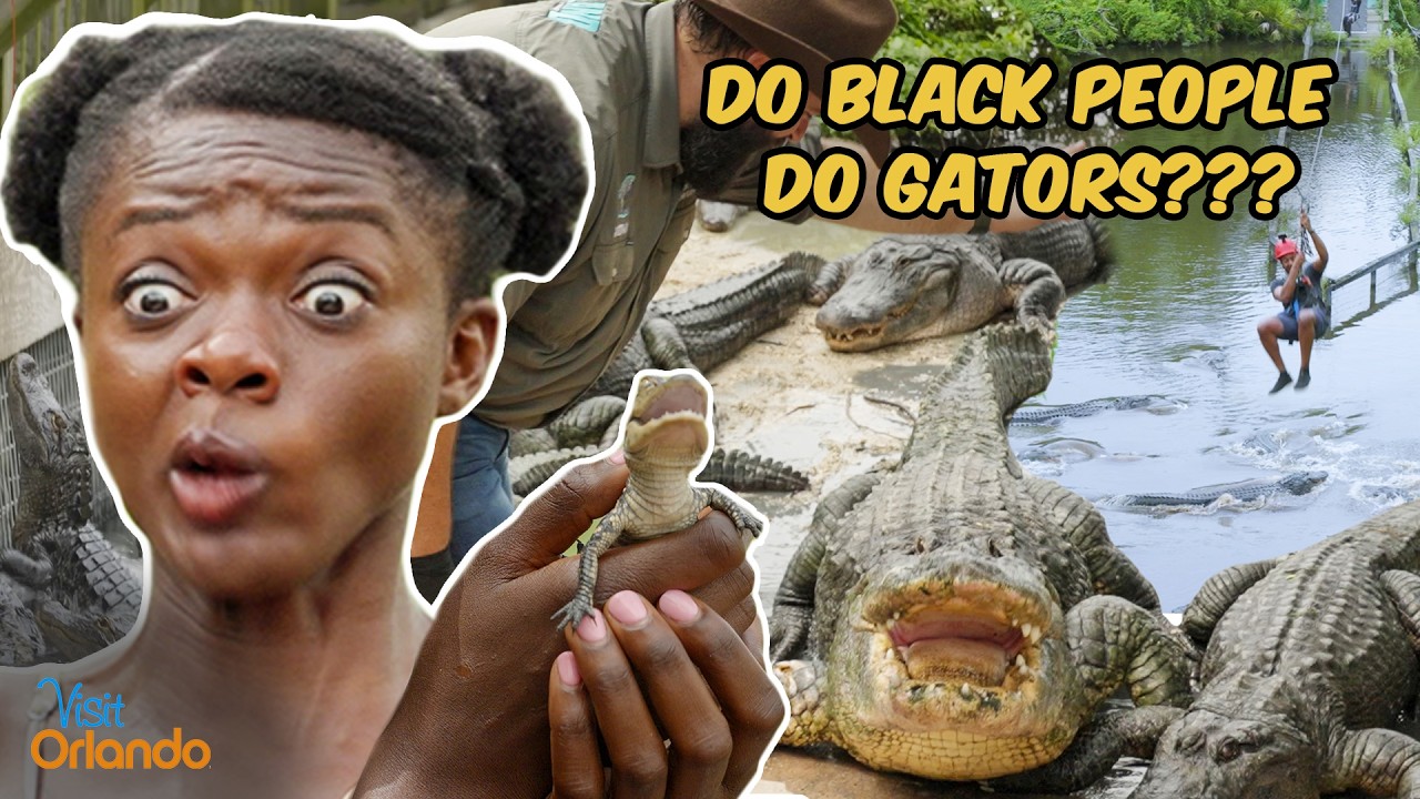 Чего не делают чернокожие: поиски аллигаторов в Орландо