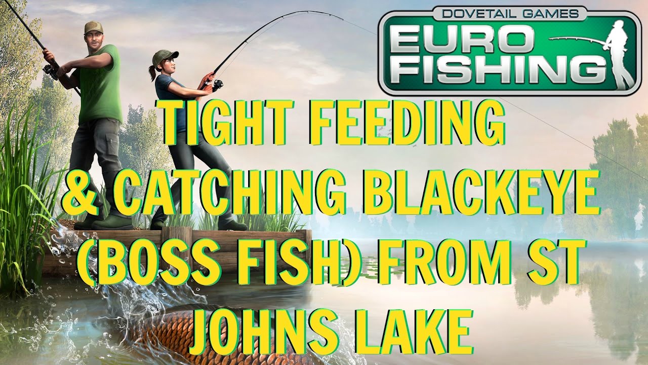 Dovetail Euro Fishing | Tight Feeding and catching Blackeye (Boss Fish) From st Johns lake