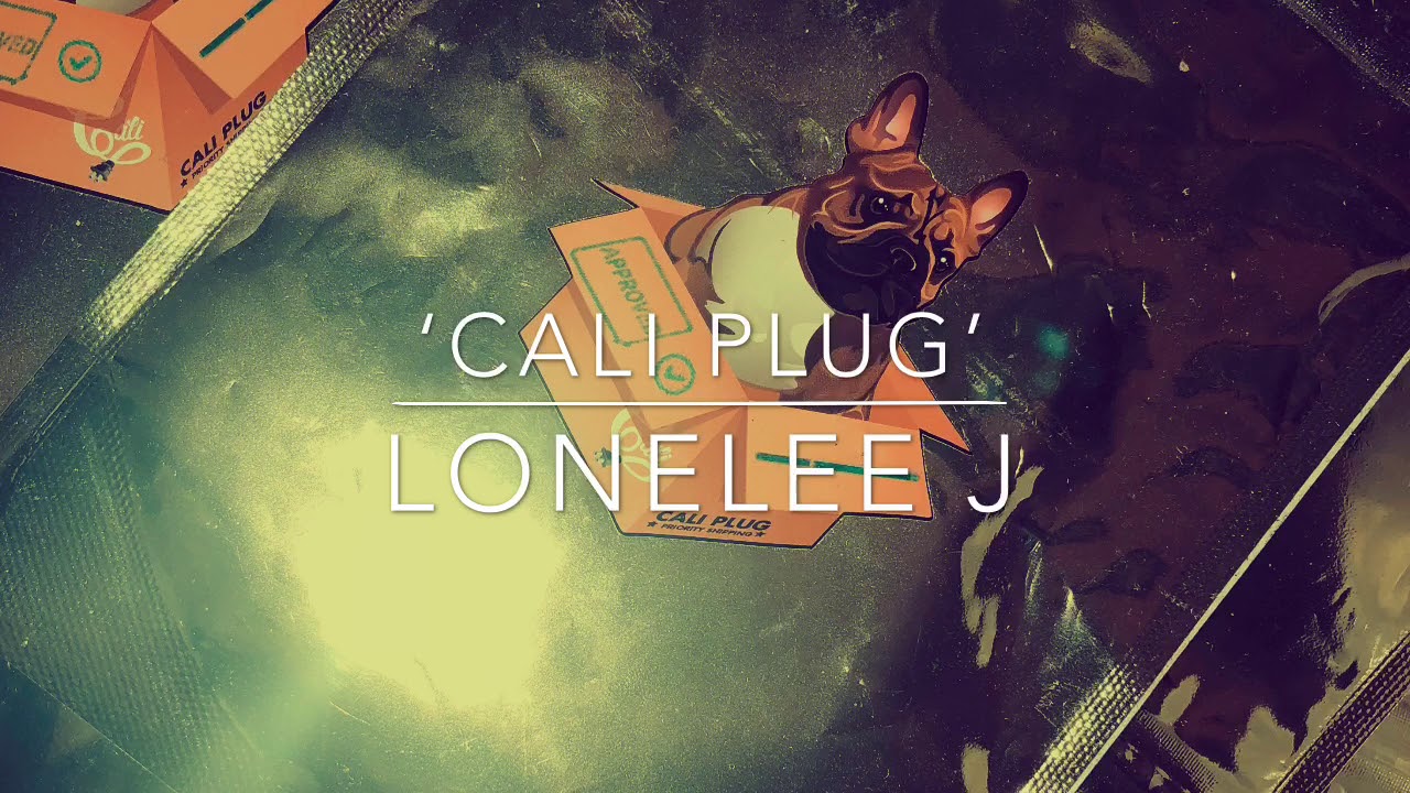 Cali Plug (Prod. j.lee) #CBONB
