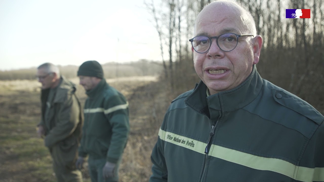 L'ONF prépare la forêt de Ternes face au changement climatique
