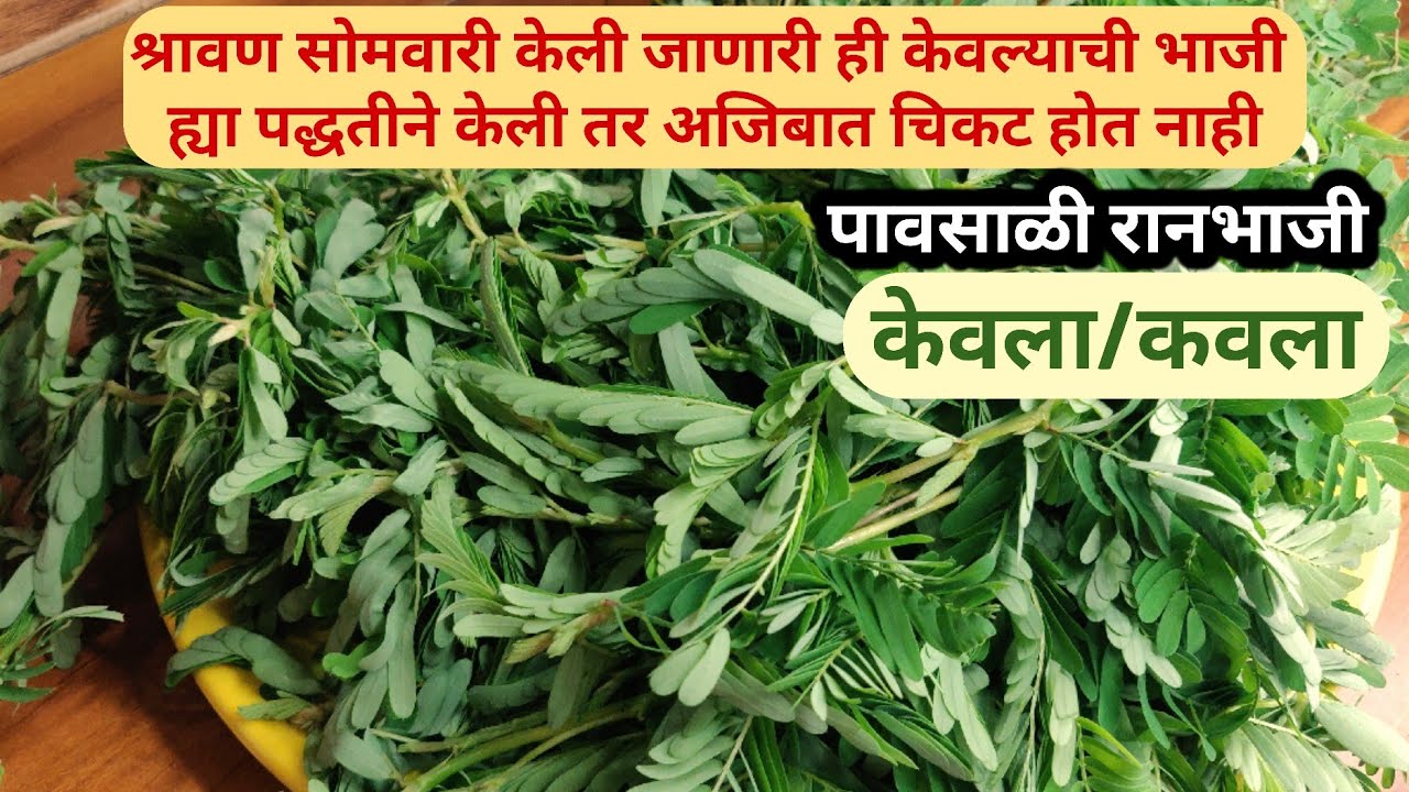 श्रावण सोमवारी उपवास सोडायला ही भाजी केली जाते | kevla chi bhaji | kevla | पावसाळी रानभाजी । केवला