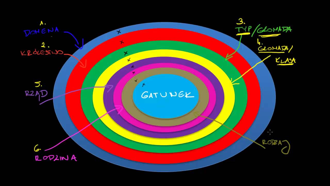 Taksonomia i drzewo życia
