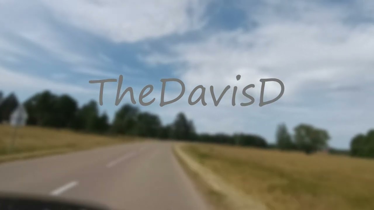 TheDavisD - JI NEMYLĖJO