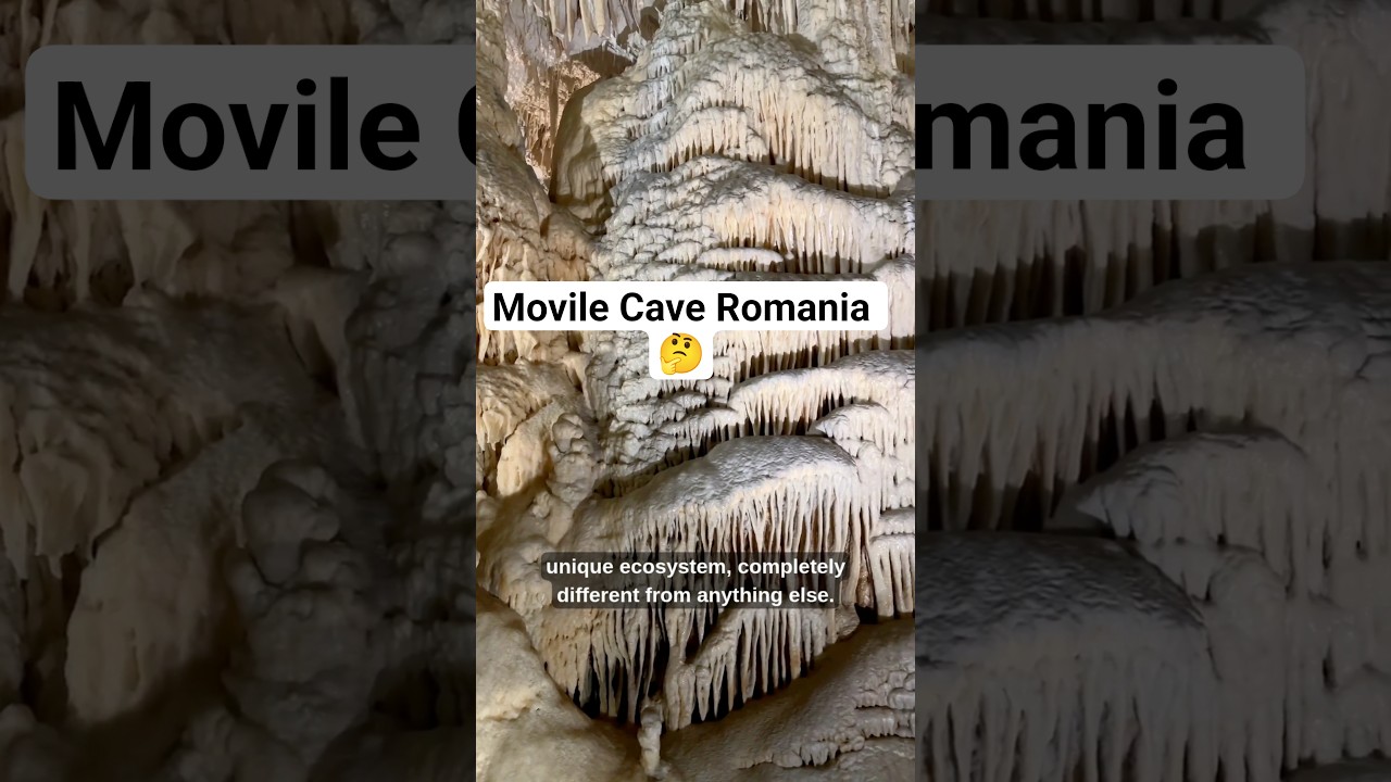 Movile Cave Romania 🤔 