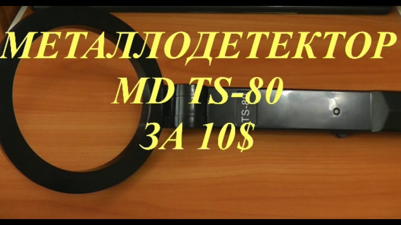 Металлодетектор |  MD TS-80 | Metal Detector