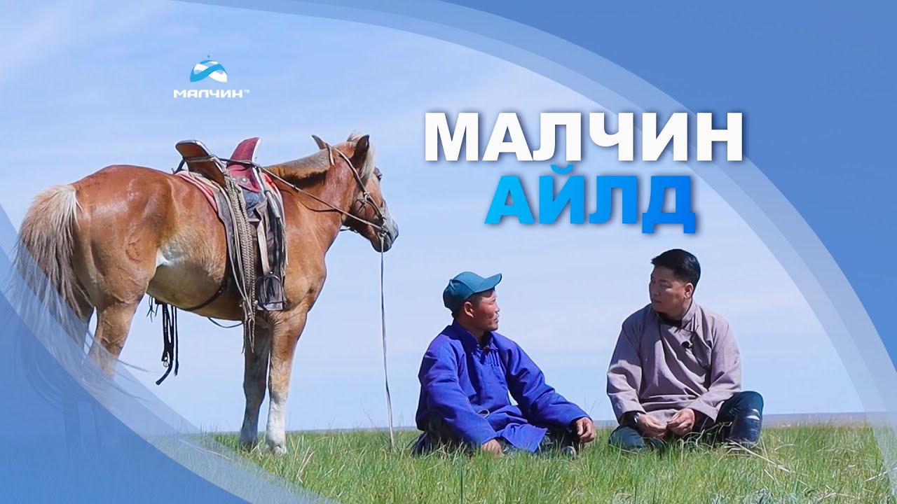[ Малчин айлд ] нэвтрүүлэг #4 ᠌᠌ Дорнод аймгийн Халхгол сумын малчин Ш.Дашдорж