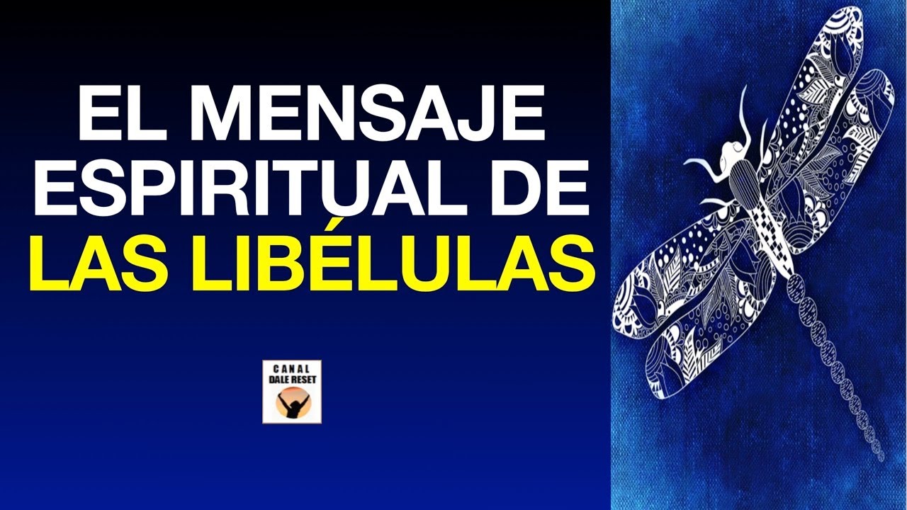 EL MENSAJE ESPIRITUAL De Las LIBÉLULAS Símbolo Del Más Allá ANIMAL De PODER Amuleto Poderoso